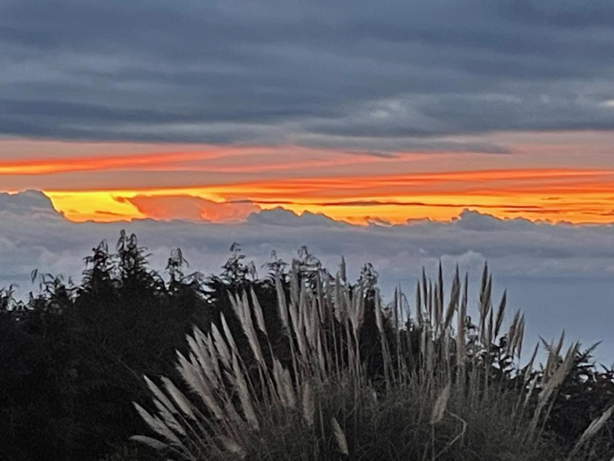 Quinta Das Faias Камаша Экстерьер фото