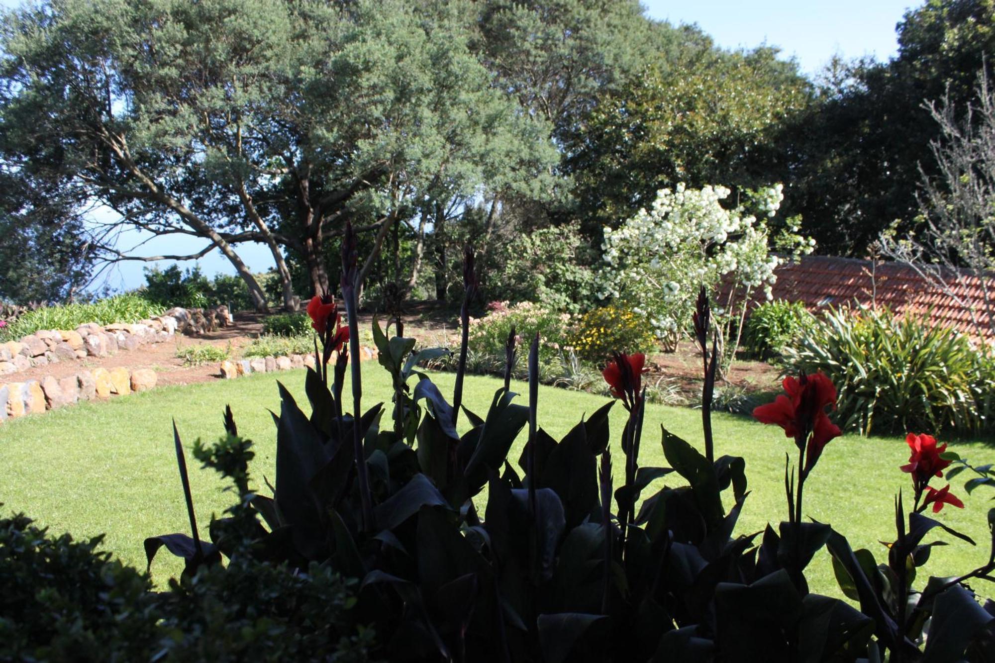 Quinta Das Faias Камаша Номер фото