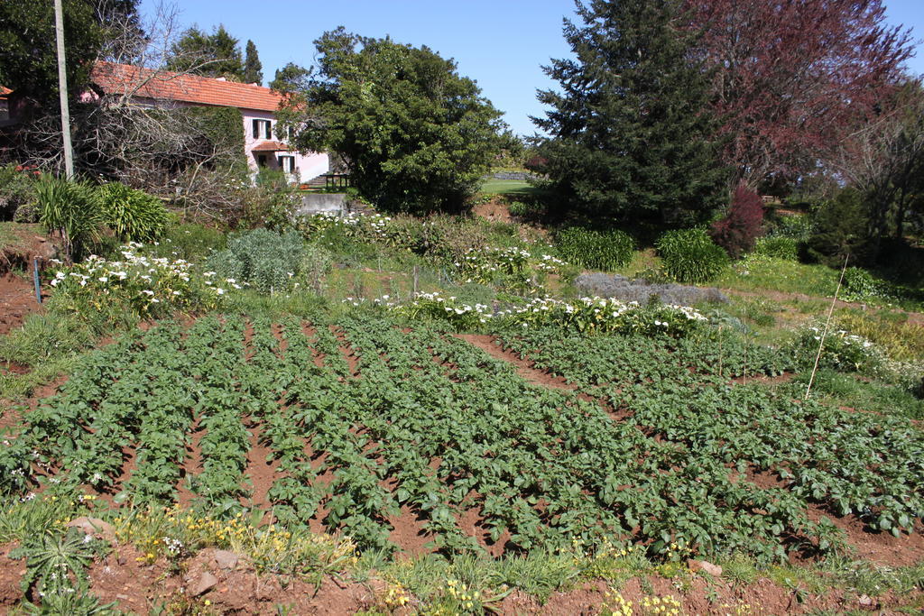 Quinta Das Faias Камаша Экстерьер фото