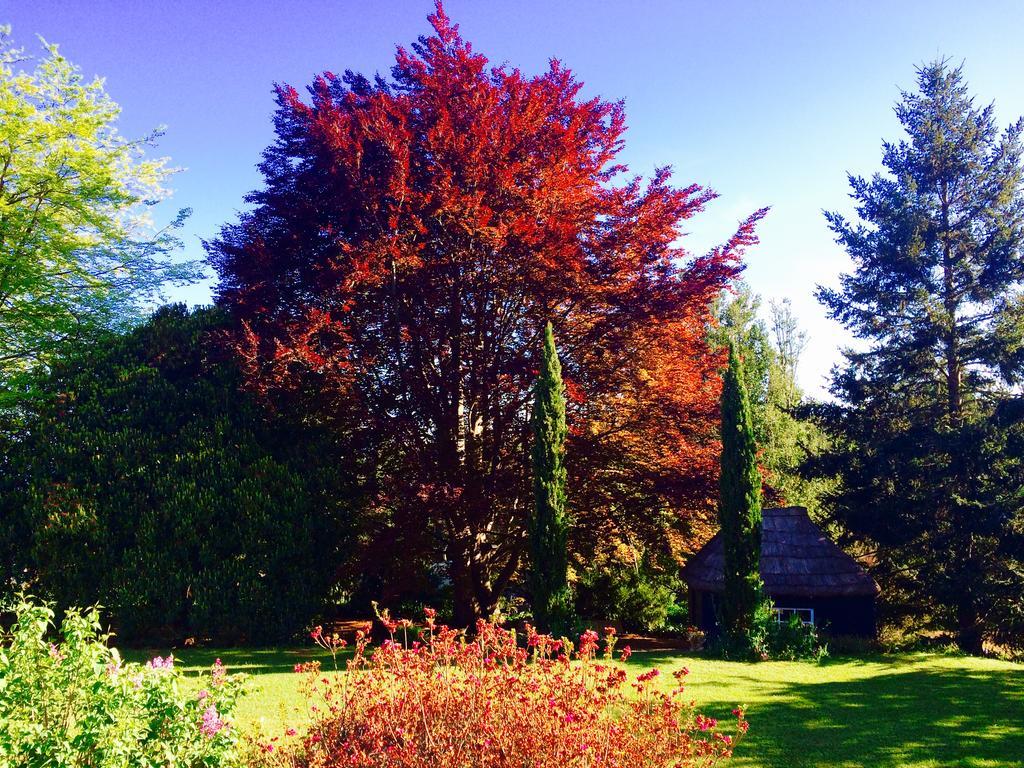 Quinta Das Faias Камаша Экстерьер фото
