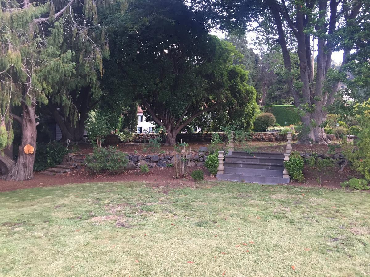 Quinta Das Faias Камаша Экстерьер фото